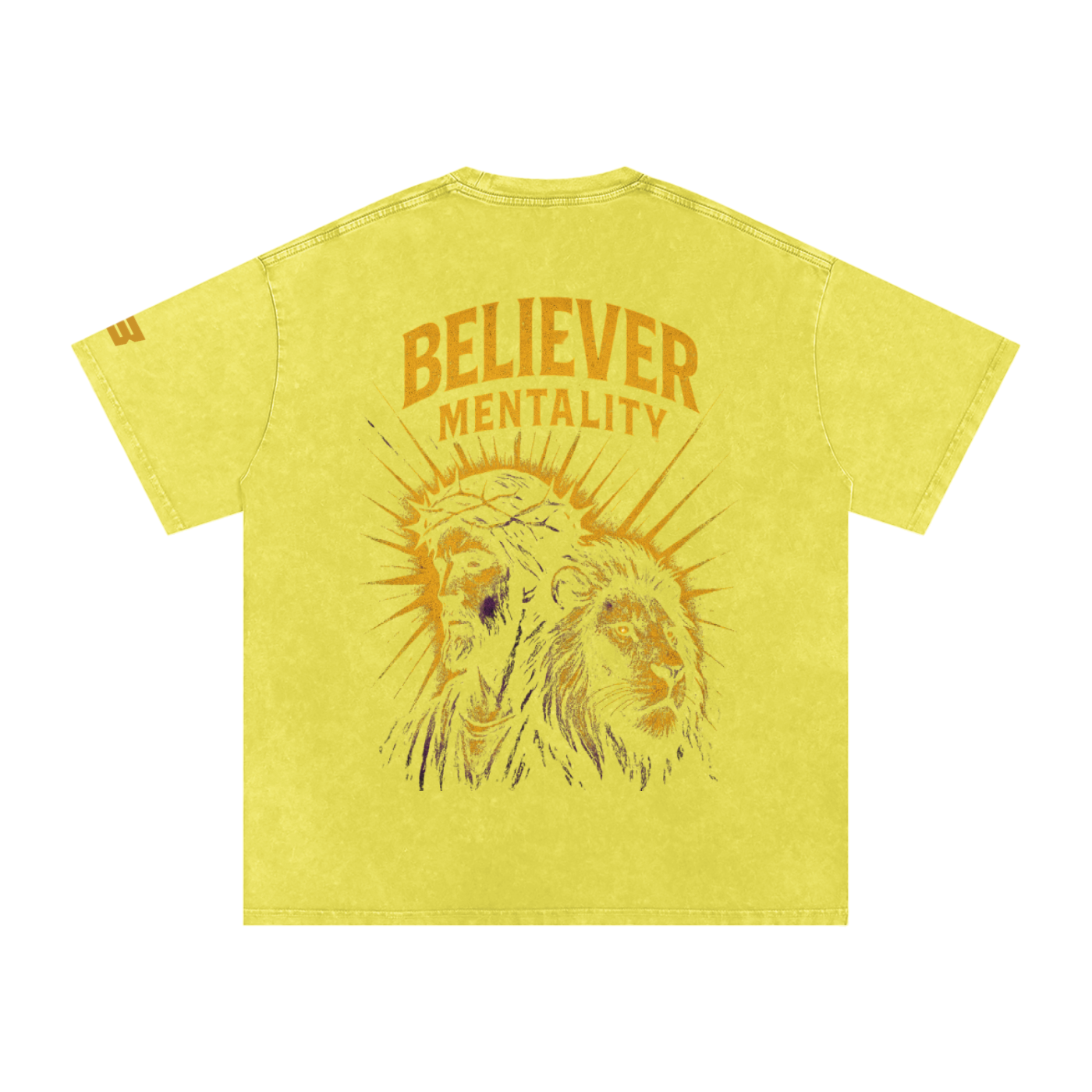 Snow Washed Oversized Cotton T-Shirt