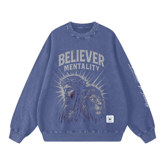 Snow Washed Oversized Sweatshirt