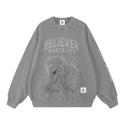 Snow Washed Oversized Sweatshirt